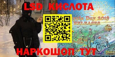 гашик Гатчина