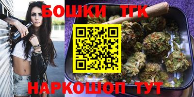 гашик Гатчина