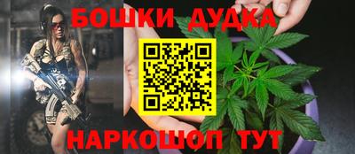 гашик Гатчина