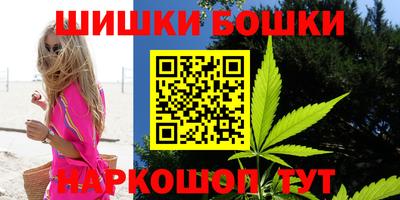 гашик Гатчина