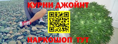 гашик Гатчина