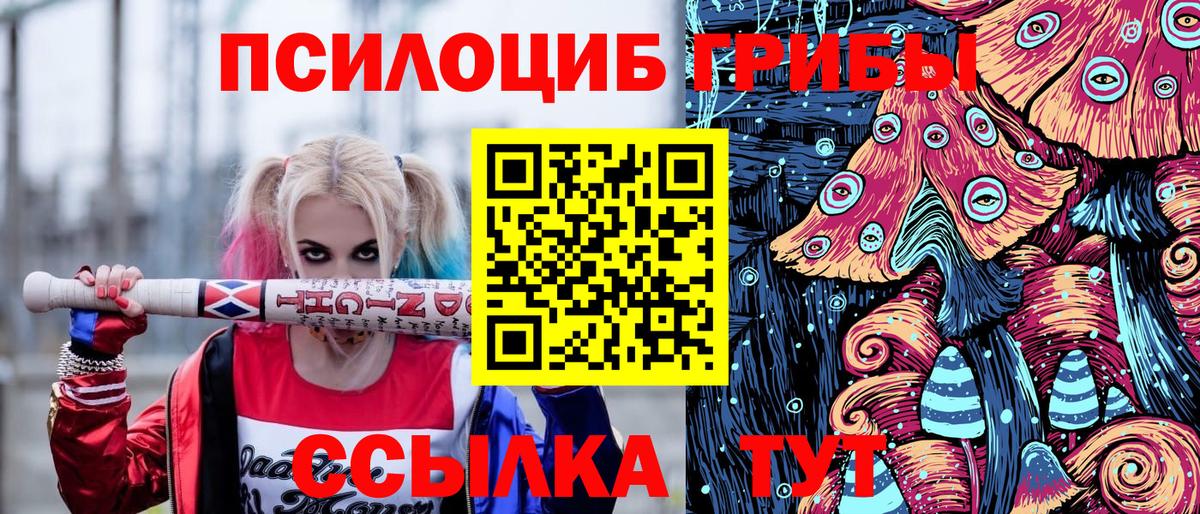 Псилоцибиновые грибы Psilocybine cubensis Дивногорск