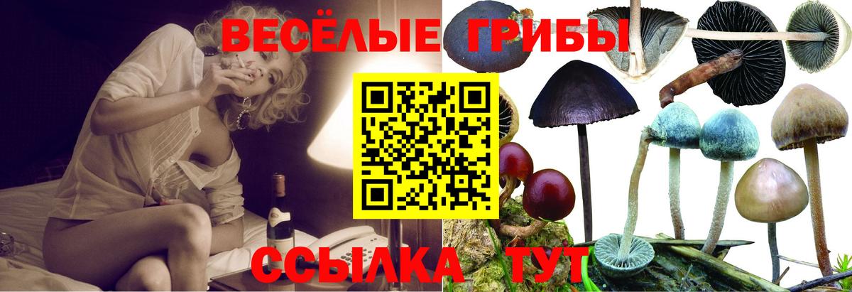 Дивногорск  Галлюциногенные грибы GOLDEN TEACHER  Вход с VPN  Галлюциногенные грибы ЛСД 